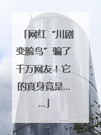网红“川剧变脸鸟”骗了千万网友！它的真身竟是……