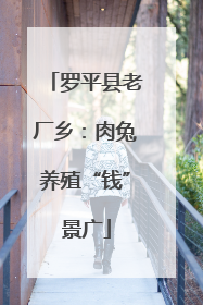 罗平县老厂乡：肉兔养殖“钱”景广