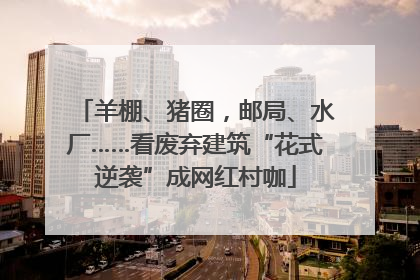 羊棚、猪圈，邮局、水厂……看废弃建筑“花式逆袭”成网红村咖