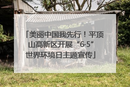 美丽中国我先行！平顶山高新区开展“6·5”世界环境日主题宣传