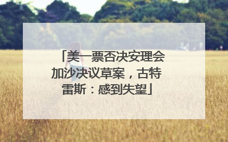 美一票否决安理会加沙决议草案，古特雷斯：感到失望