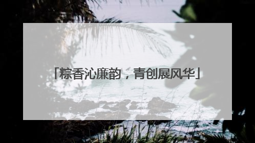 粽香沁廉韵，青创展风华