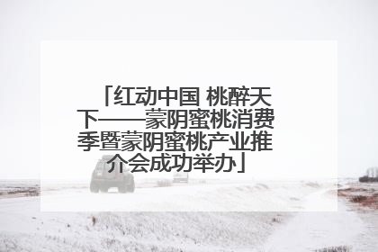红动中国 桃醉天下——蒙阴蜜桃消费季暨蒙阴蜜桃产业推介会成功举办