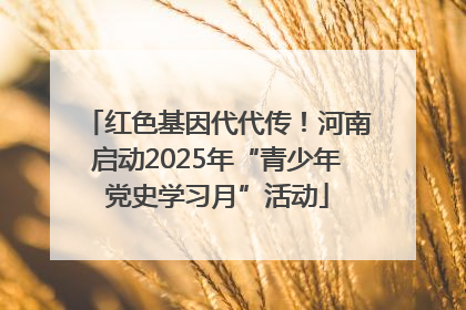 红色基因代代传！河南启动2025年“青少年党史学习月”活动