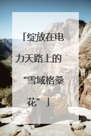 绽放在电力天路上的“雪域格桑花”