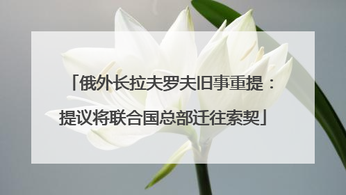 俄外长拉夫罗夫旧事重提：提议将联合国总部迁往索契