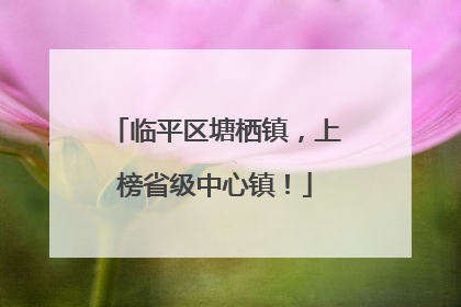 临平区塘栖镇，上榜省级中心镇！