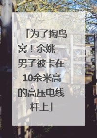 为了掏鸟窝！余姚一男子被卡在10余米高的高压电线杆上