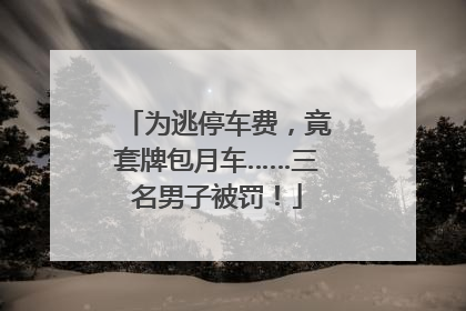 为逃停车费，竟套牌包月车……三名男子被罚！