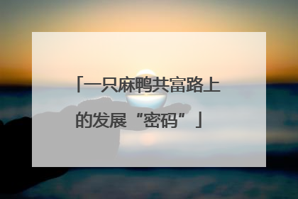一只麻鸭共富路上的发展“密码”