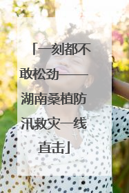 一刻都不敢松劲——湖南桑植防汛救灾一线直击
