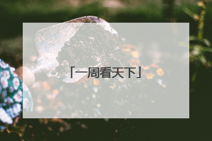 一周看天下