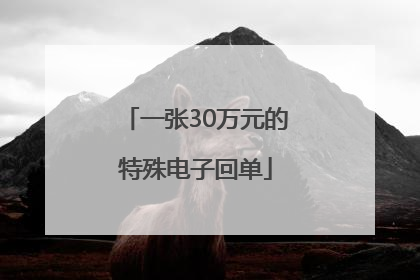 一张30万元的特殊电子回单