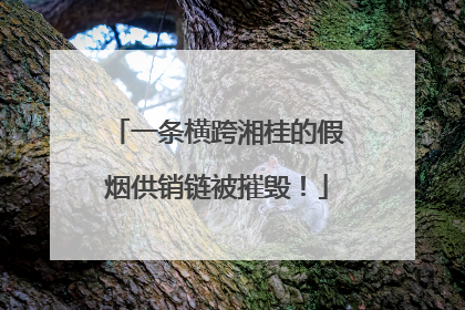 一条横跨湘桂的假烟供销链被摧毁！