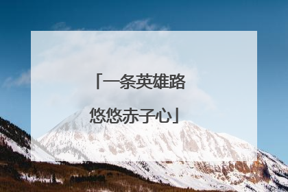 一条英雄路 悠悠赤子心