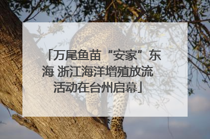 万尾鱼苗“安家”东海 浙江海洋增殖放流活动在台州启幕