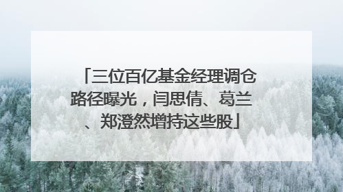 三位百亿基金经理调仓路径曝光，闫思倩、葛兰、郑澄然增持这些股