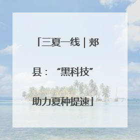 三夏一线｜郏县：“黑科技”助力夏种提速