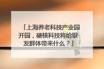 上海养老科技产业园开园，硬核科技将给银发群体带来什么？