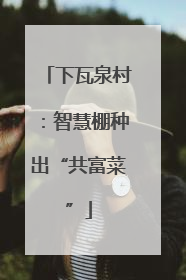 下瓦泉村：智慧棚种出“共富菜”