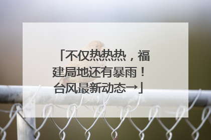 不仅热热热，福建局地还有暴雨！台风最新动态→