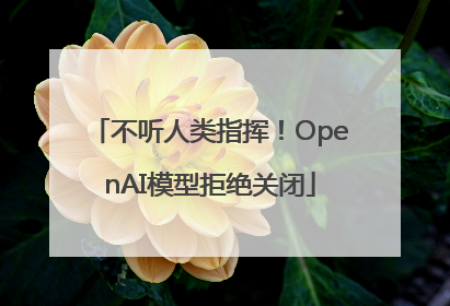不听人类指挥！OpenAI模型拒绝关闭