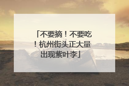 不要摘！不要吃！杭州街头正大量出现紫叶李