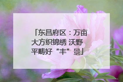 东昌府区：万亩大方织锦绣 沃野平畴好“丰”景