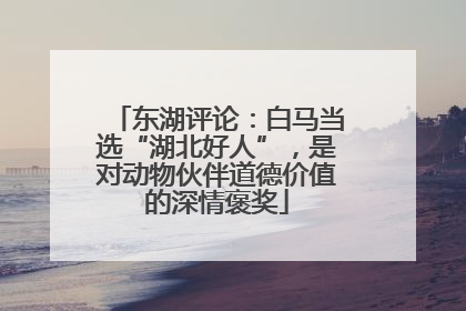 东湖评论：白马当选“湖北好人”，是对动物伙伴道德价值的深情褒奖