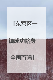 东营区一镇成功跻身全国百强