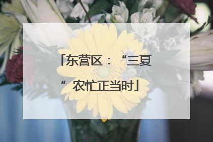 东营区：“三夏”农忙正当时