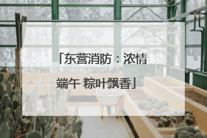东营消防：浓情端午 粽叶飘香