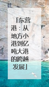 东营港：从地方小港到亿吨大港的跨越发展