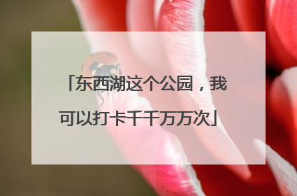 东西湖这个公园，我可以打卡千千万万次