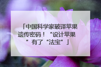 中国科学家破译苹果遗传密码！“设计苹果”有了“法宝”