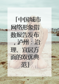 中国城市网络形象指数报告发布，泸州：治理、宜居方面的双优典范