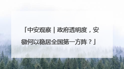 中安观察｜政府透明度，安徽何以稳居全国第一方阵？