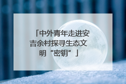 中外青年走进安吉余村探寻生态文明“密钥”