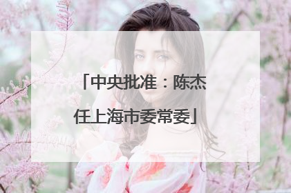 中央批准：陈杰任上海市委常委