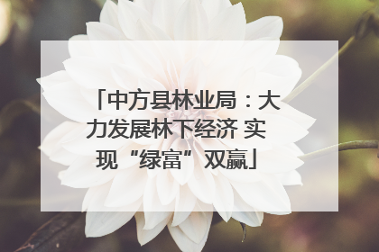 中方县林业局：大力发展林下经济 实现“绿富”双赢