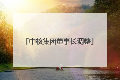 中核集团董事长调整