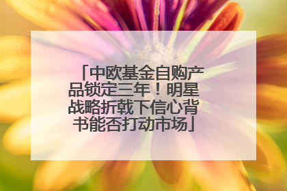 中欧基金自购产品锁定三年！明星战略折戟下信心背书能否打动市场