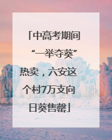 中高考期间“一举夺葵”热卖，六安这个村7万支向日葵售罄