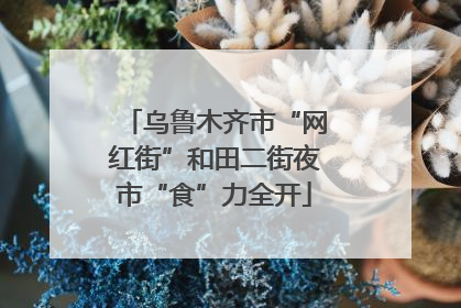 乌鲁木齐市“网红街”和田二街夜市“食”力全开