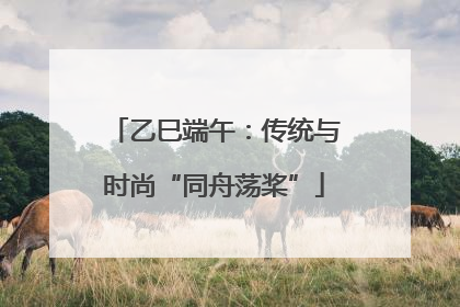 乙巳端午：传统与时尚“同舟荡桨”