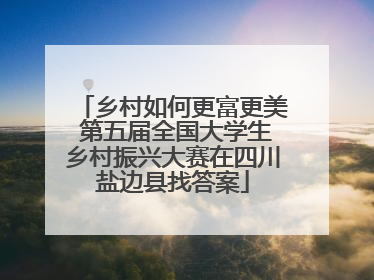 乡村如何更富更美 第五届全国大学生乡村振兴大赛在四川盐边县找答案