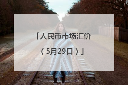 人民币市场汇价（5月29日）
