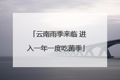 云南雨季来临 进入一年一度吃菌季