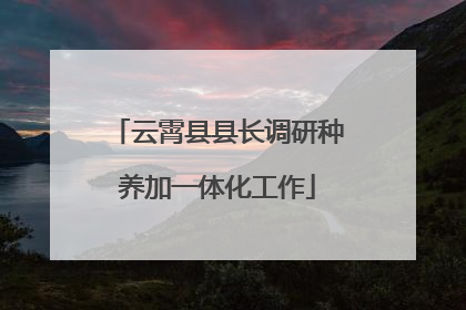 云霄县县长调研种养加一体化工作