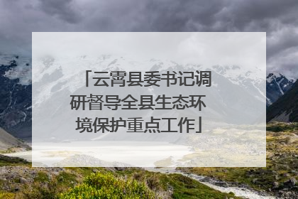 云霄县委书记调研督导全县生态环境保护重点工作